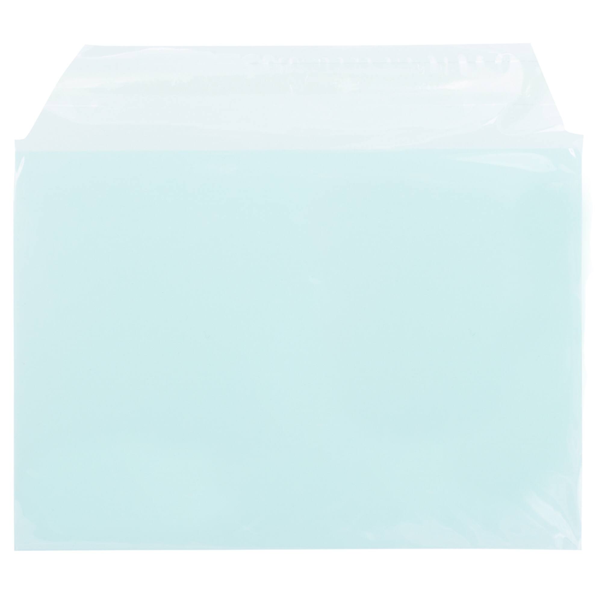 JAM Paper 5.063" x 7.188" Cello Sleeves with Self Adhesive Closures
